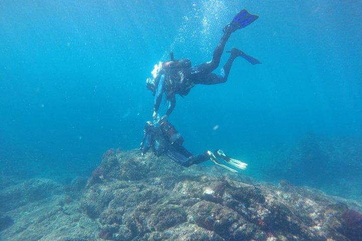 Double Dive Baptism on Berlenga Island