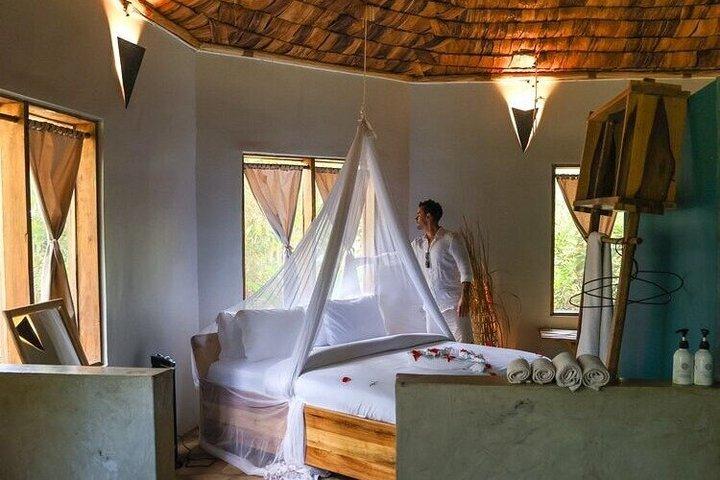 3-Days Private Luxury Safari: Tarangire, Ngorongoro & Manyara