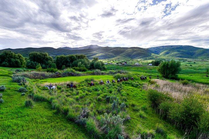1 Hour Guided Horseback Riding Adventure
