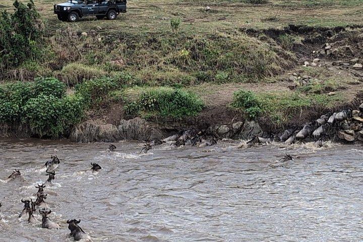 4-Day Luxury Fly-In from Zanzibar for the Wildebeest Migration