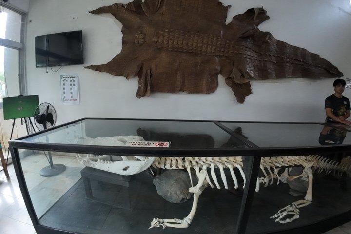 Puerto Princesa 2in1 City Tour with Museum sightseeing excursion