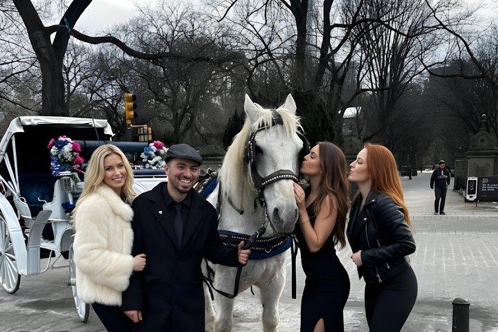 Horse Carriage Tour Through Central Park, NYC SINCE 1903