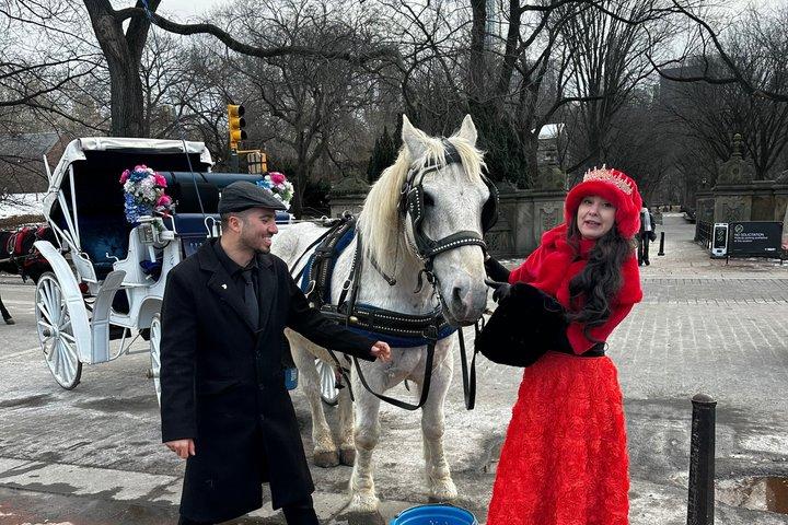 Horse Carriage Tour Through Central Park, NYC SINCE 1903