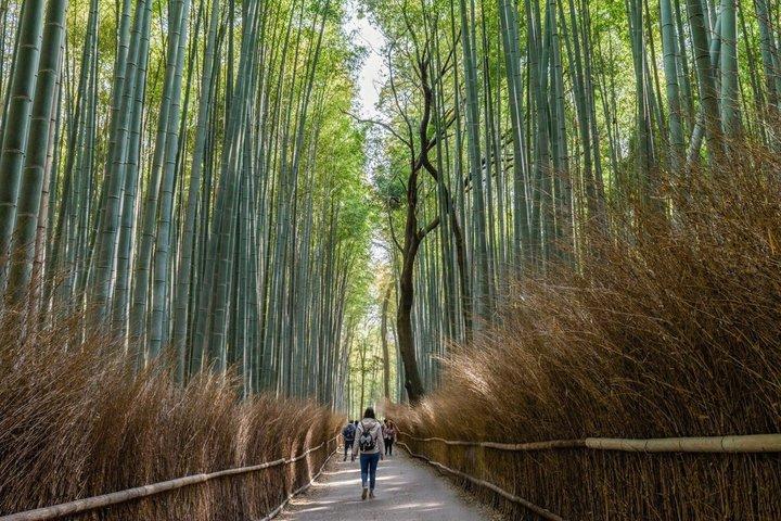 T1 Kyoto Arashiyama: Zen, Nature & Riverside Walking Tour