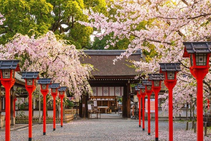 T2 Kyoto: Kinkakuji History, Faith & Spirit Walking Tour