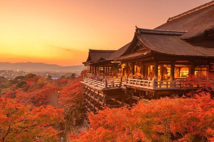 T3 Kyoto: Traditional Higashiyama and Gion Walking Tour