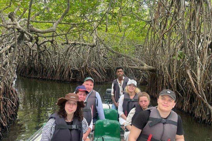River Safari Bentota with Mangroves ,crocodiles ,Birds, Monkeys.