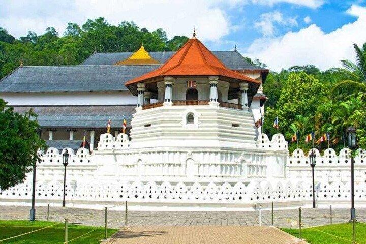 Colombo To Pinnawala & Kandy Luxury Day Tour by Car/Van/Bus