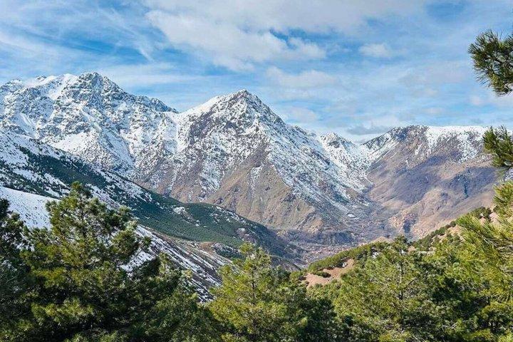 From Marrakech: Atlas Mountains Talamrout Summit Day Trek