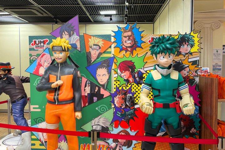 Tokyo Anime and Manga Culture Private Tour with Local