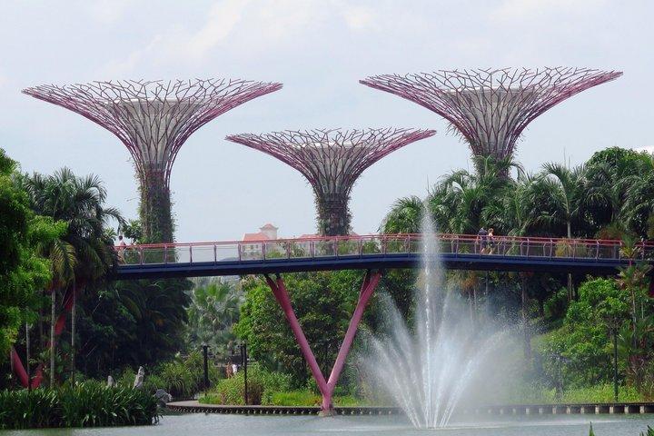 Gardens by the Bay Entry Ticket