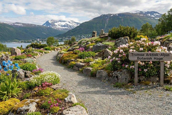 Discover Tromsø: A Self-Guided Tour