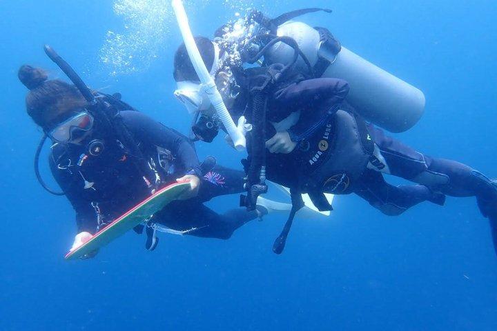 Beginner Scuba Diving in Moalboal | Safe & Easy Experience
