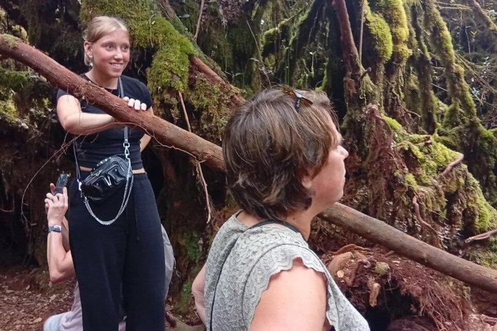 Cameron Highlands Fullday Discovery Package B Shared Tour