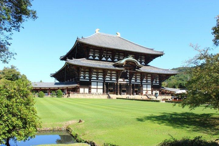 Customizable Private Tour in Osaka Nara Kobe and Kyoto