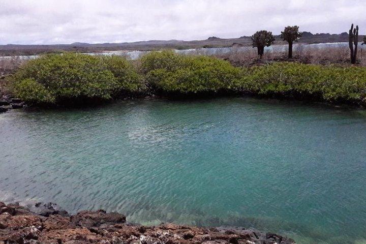 Santa Cruz Galapagos Bay Expedition