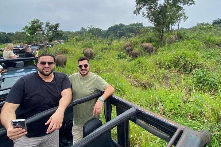 Safari Adventure in Minneriya national Park Sri Lanka