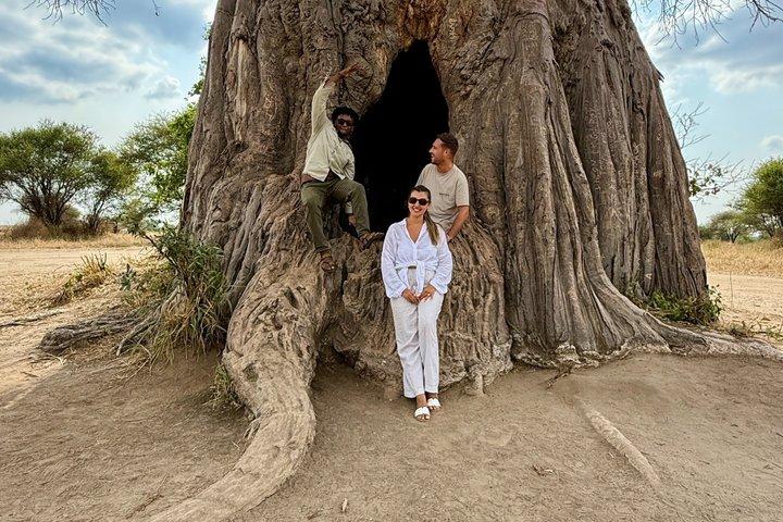 5-Day Private Luxury Ndutu Calving Season – Wildebeest Migration