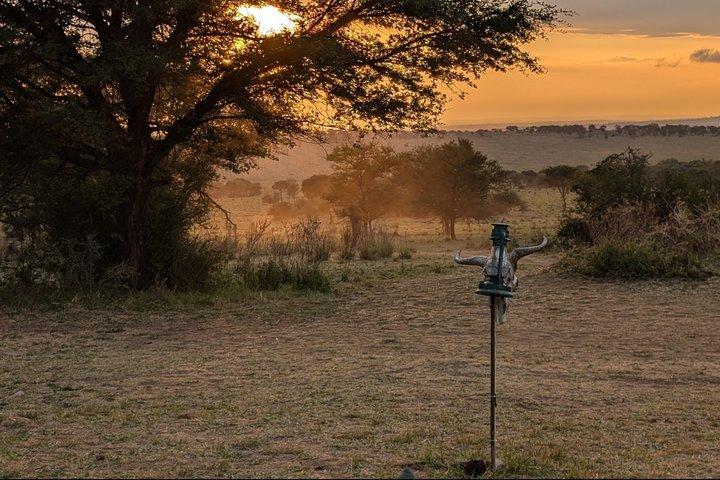 5-Day Private Luxury Ndutu Calving Season – Wildebeest Migration