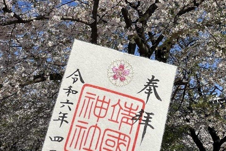 Tokyo Private Cherry Blossom Tour with a Shiba Inu & Shrine Walk
