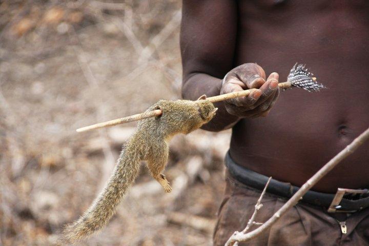 5-Day Hidden Gems: Arusha, Tarangire & The Cultural Highlands