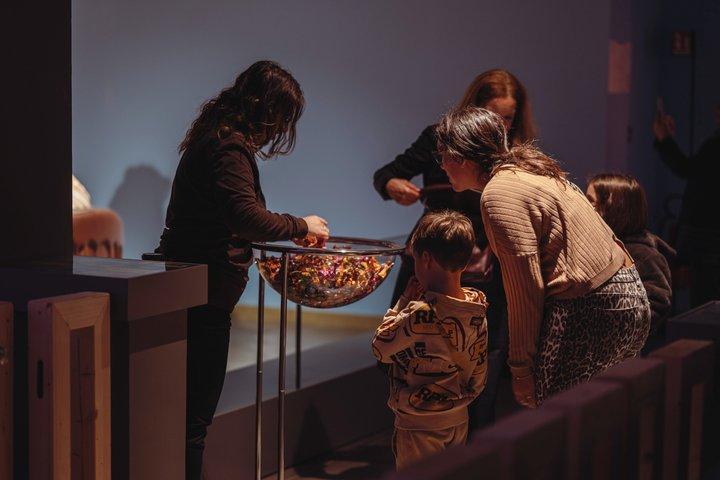 Chocolate Museum Entrance Ticket