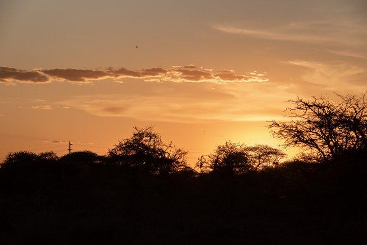 4 Days Tanzania Wildlife Safaris in Ngorongoro Crater