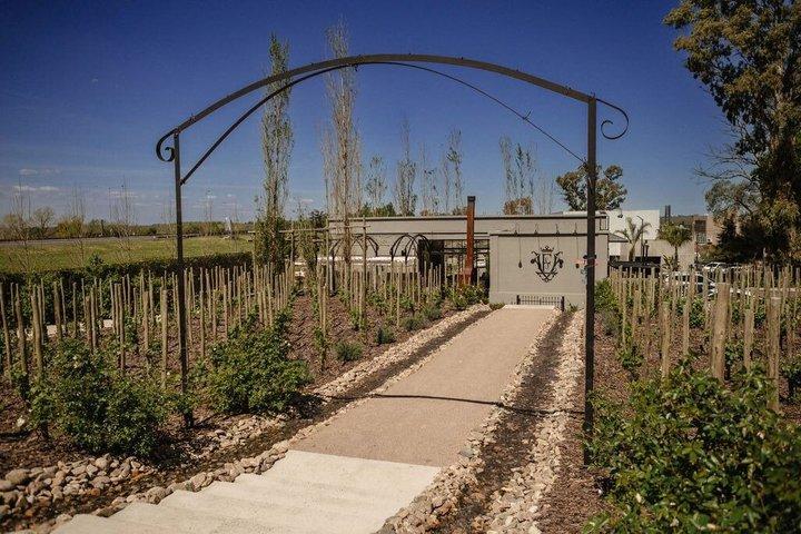 Exclusive Wine and Gourmet Lunch Experience at Estancia Vigil