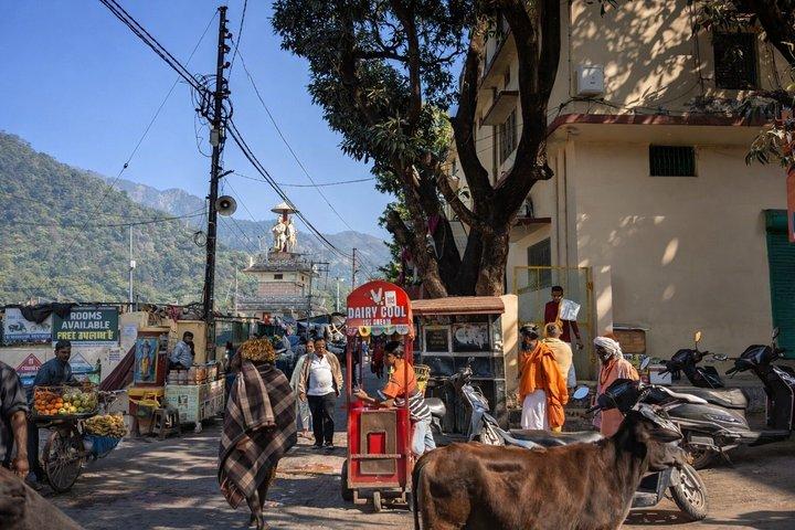 Rishikesh: Beatles Ashram Art & Meditation Heritage Walk