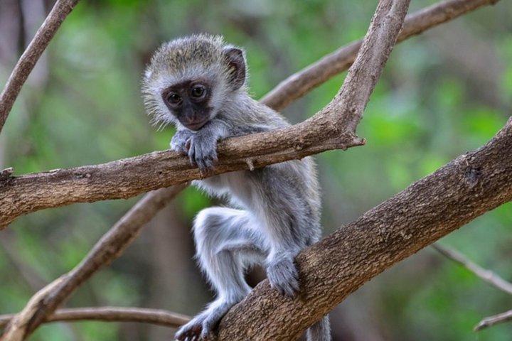 Lake Naivasha and Hell’s Gate Cycling Guided Adventure