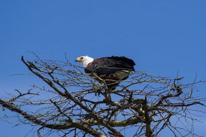 Lake Naivasha and Hell’s Gate Cycling Guided Adventure