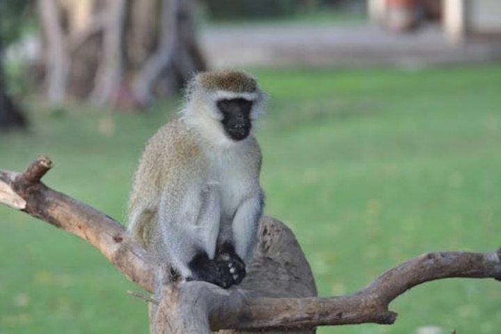 Lake Naivasha and Hell’s Gate Cycling Guided Adventure