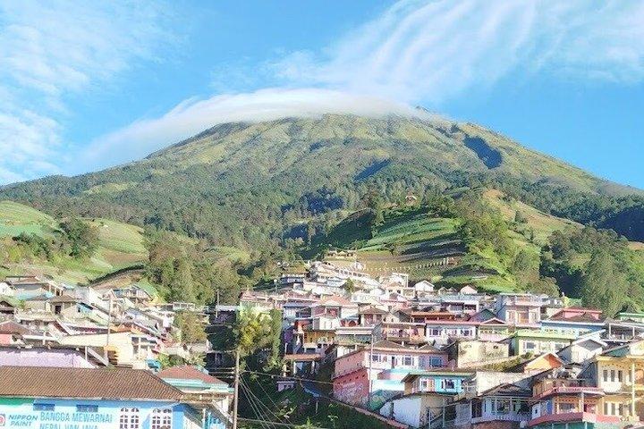 Day Tour to Nepal Van Java & Selogriyo Temple from Yogyakarta