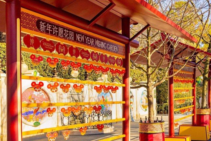 Shanghai Disneyland Experience Pass with Options