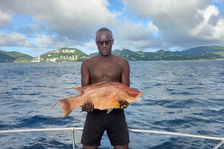 Sulphur Springs and Waterfall or Piton and Beach Boat Tour