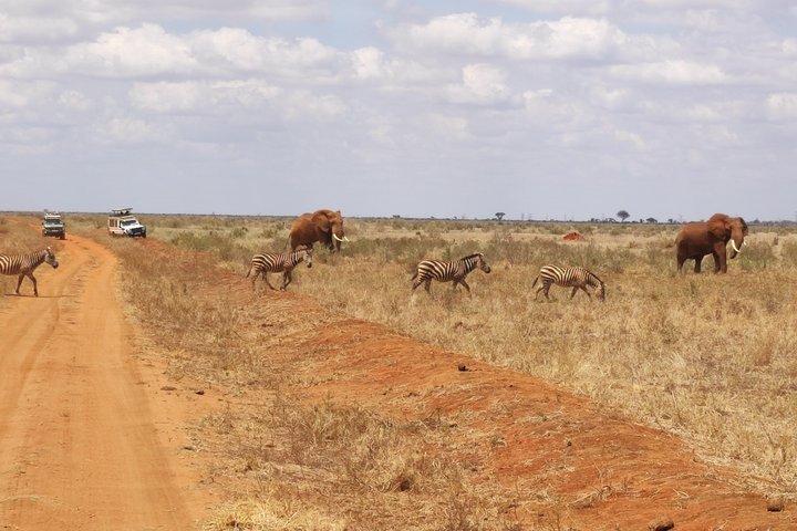 3 Days Tsavo East and Saltlick Lodge Safari from Diani Beach