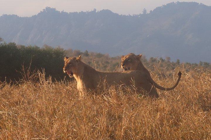 3 Days Tsavo East and Saltlick Lodge Safari from Diani Beach