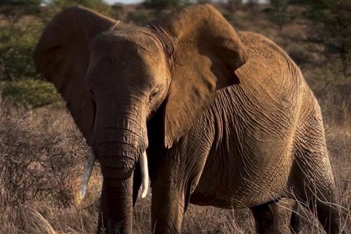 3 Day Maasai Mara Group Joining Safari With Guided Tour