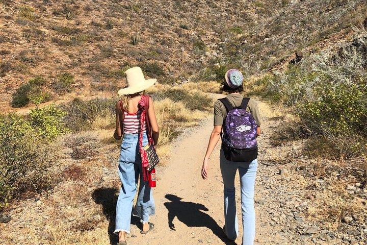 Todos Santos Hiking Tour