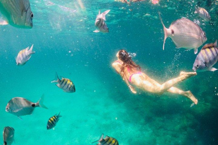 Angra dos Reis: A unique experience in paradise