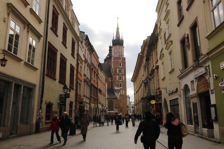 Wawel Castle and Cathedral with St Mary Basilica tour