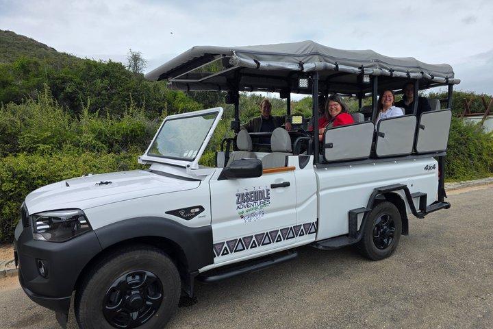 Full-Day Schotia Game Reserve & Giraffe Walk (Open 4x4 Vehicle)