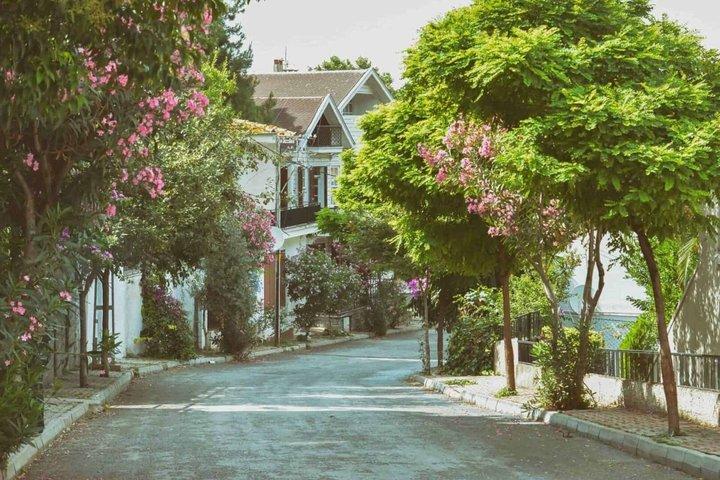 Istanbul: Princess Islands Day Trip w Hotel Transfer & Lunch