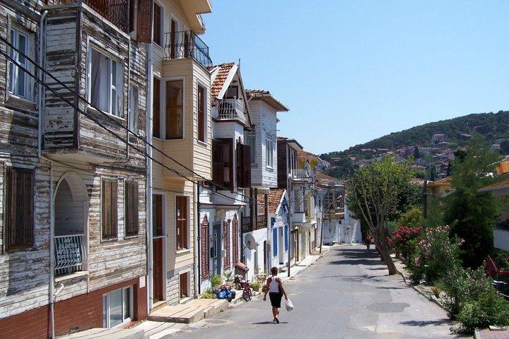 Istanbul: Princess Islands Day Trip w Hotel Transfer & Lunch