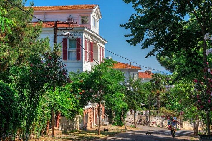 Istanbul: Princess Islands Day Trip w Hotel Transfer & Lunch