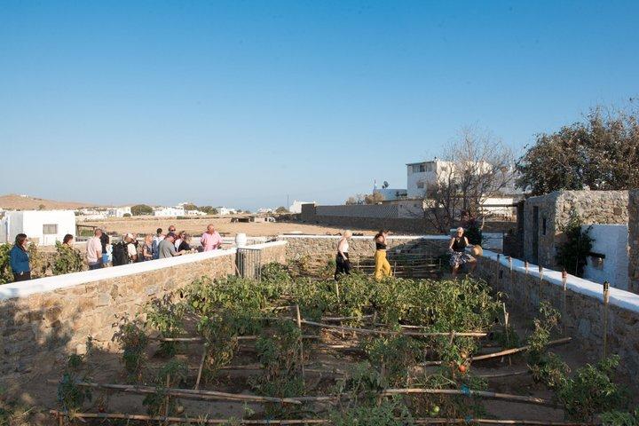 Traditional Lunch or Dinner at Mykonian Farm