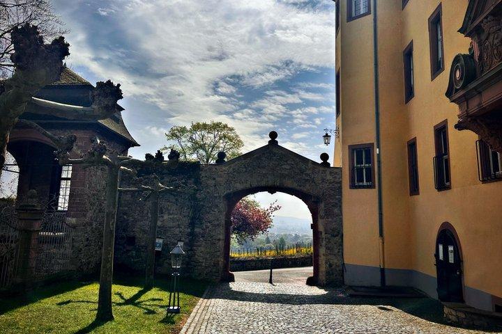 Rhein valley Castle & Palace winery tour from Frankfurt