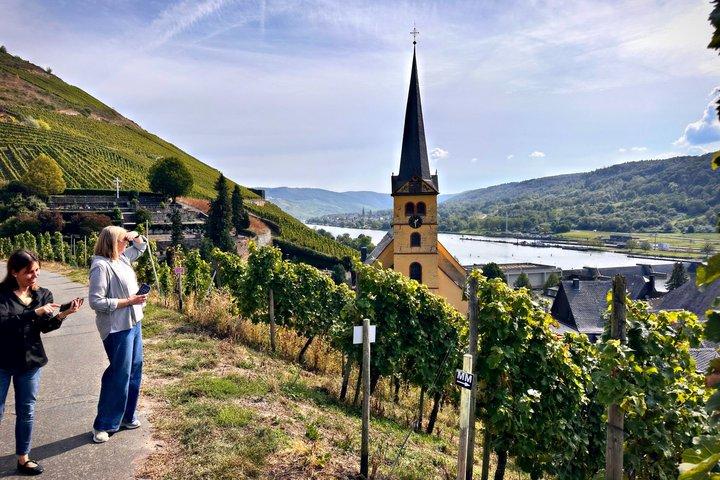 Rhein valley Castle & Palace winery tour from Frankfurt