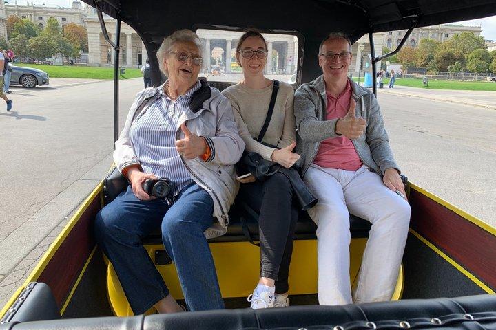 Vienna: Night Tour