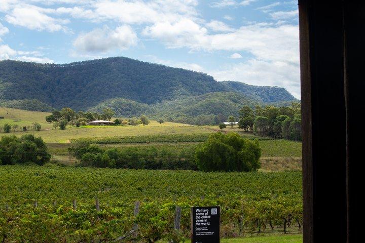 Private Luxury Hunter Valley Wine Tour from Sydney